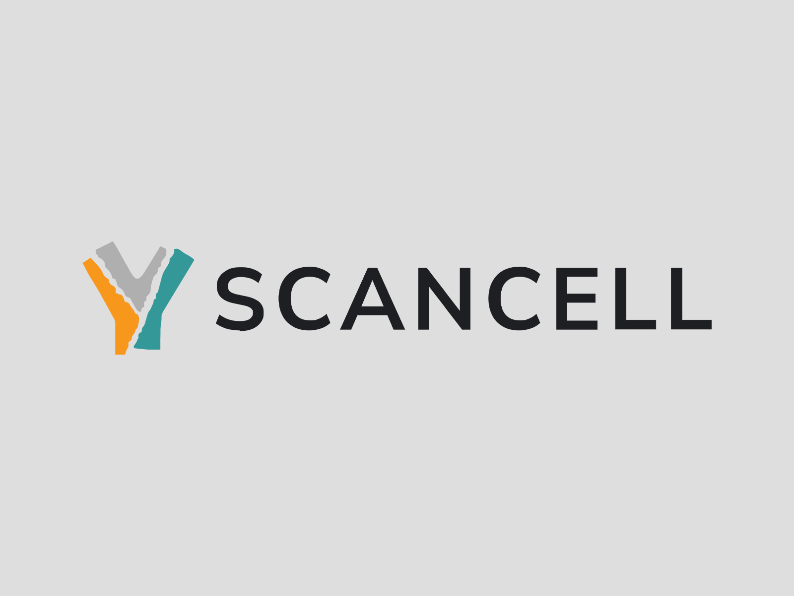 Panmure Liberum acted as Nominated Adviser, Joint Bookrunner and Joint Broker on Scancell Holdings plc’s upsized £11.3 million fundraise